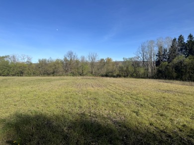 Meadows & Woods Along Keshequa Creek - photo 15
