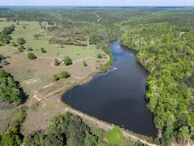 Discover an extraordinary 500 +/- acres of prime land, perfect - photo 47