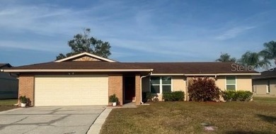 (private lake, pond, coastal) Home For Sale in Oldsmar Florida