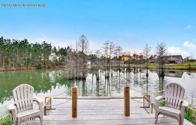 LAKE PROPERTY! Experience peaceful lakefront living in this - photo 4