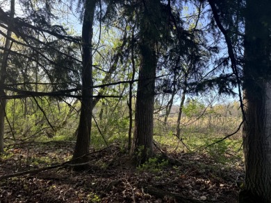 Meadows & Woods Along Keshequa Creek - photo 8