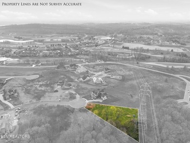 Discover a rare opportunity to own nearly one acre in Tennessee - photo 12