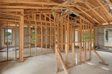 Partially completed new construction home located in Inverness - photo 12