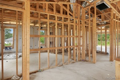 Partially completed new construction home located in Inverness - photo 13