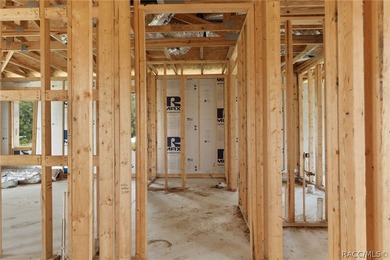 Partially completed new construction home located in Inverness - photo 15