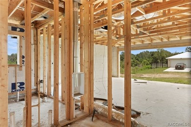 Partially completed new construction home located in Inverness - photo 16