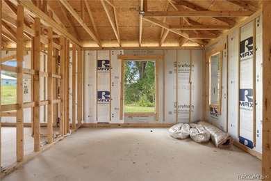 Partially completed new construction home located in Inverness - photo 18