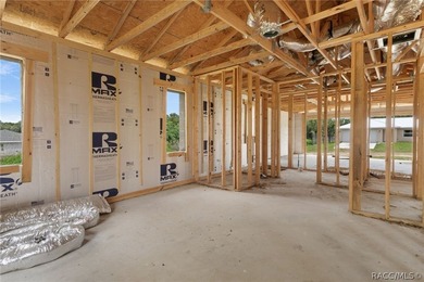 Partially completed new construction home located in Inverness - photo 19