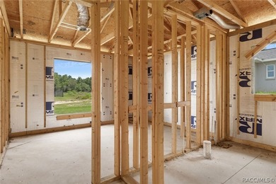 Partially completed new construction home located in Inverness - photo 23