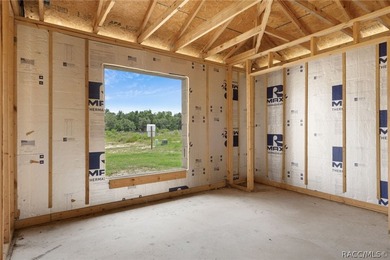 Partially completed new construction home located in Inverness - photo 24