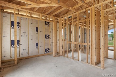 Partially completed new construction home located in Inverness - photo 25