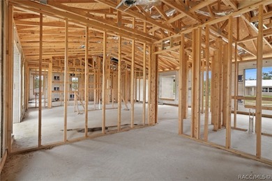 Partially completed new construction home located in Inverness - photo 28
