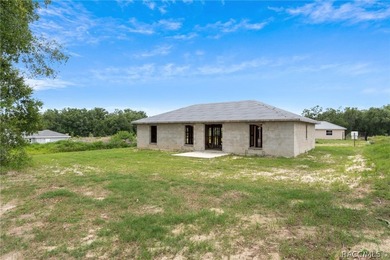 Partially completed new construction home located in Inverness - photo 30