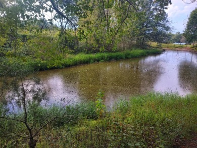 (private lake, pond, creek) Acreage Sale Pending in Pikeville Tennessee