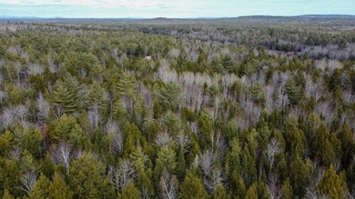 If you've been searching for an affordable piece of Maine land - photo 2