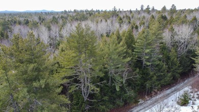 If you've been searching for an affordable piece of Maine land - photo 3