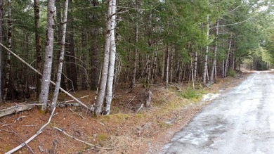 If you've been searching for an affordable piece of Maine land - photo 4