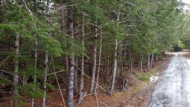 If you've been searching for an affordable piece of Maine land - photo 5