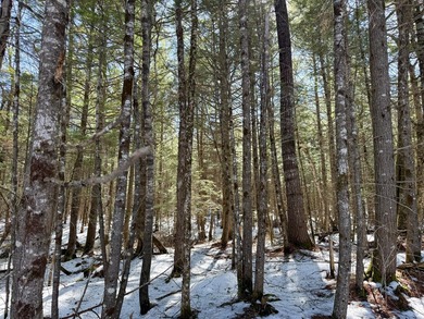 If you've been searching for an affordable piece of Maine land - photo 6