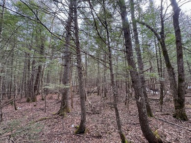 If you've been searching for an affordable piece of Maine land - photo 9