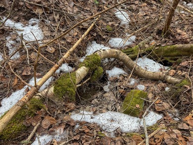 If you've been searching for an affordable piece of Maine land - photo 10