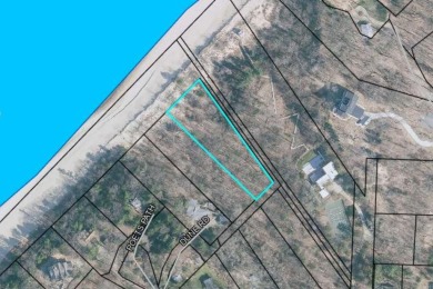 Lake Michigan - Berrien County Lot For Sale in Sawyer Michigan