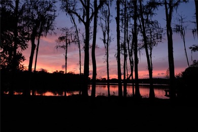Lake Home For Sale in Odessa, Florida