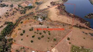 (private lake, pond, creek) Acreage For Sale in Bartow Florida