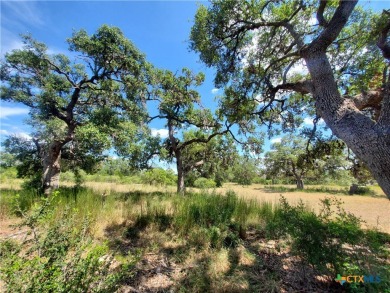 Canyon Lake Lot For Sale in Spring Branch Texas