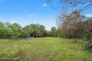 Situated on a FULL ACRE in lovely North Merritt Island, this - photo 17