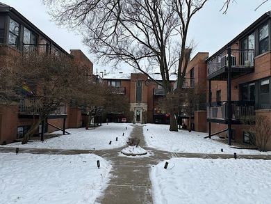 Lake Michigan - Cook County Condo For Sale in Chicago Illinois