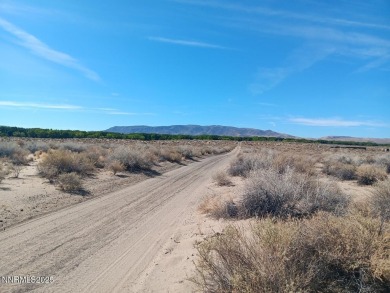 Lake Lahontan Acreage For Sale in Silver Springs Nevada