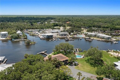 Welcome to 5215 S Swiftwater Way, Unit 3-a stunning Homosassa - photo 6