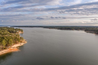Dreaming of lakefront living where every day feels like a - photo 8