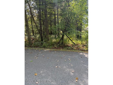 Sleepy Hollow Lake Lot For Sale in Athens New York