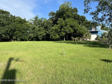 Vacant cleared lot in mixed use area. Several small business - photo 1