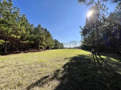 Alabama River Acreage For Sale in Tyler Alabama