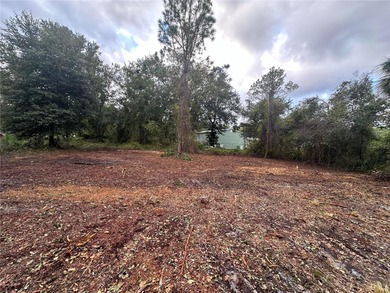 Lake George Lot For Sale in Georgetown Florida