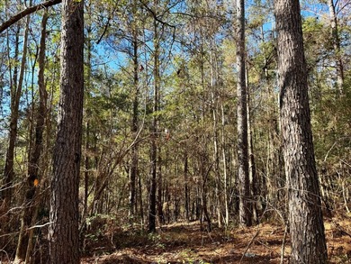Additional listing photo 3