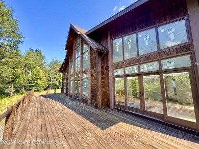 Lake Home For Sale in Equinunk, Pennsylvania
