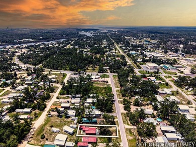 Located in Flood Zone X on a high and dry 0.13-acre lot, this - photo 33