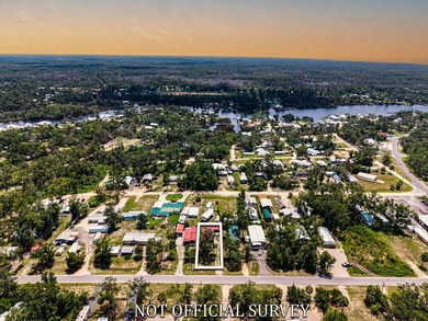 Located in Flood Zone X on a high and dry 0.13-acre lot, this - photo 37