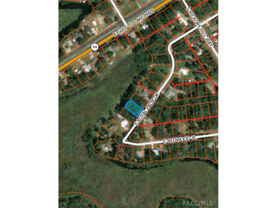 Tsala Apopka Chain of Lakes Lot For Sale in Inverness Florida