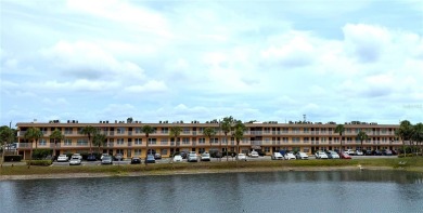 Lake Condo For Sale in Kenneth City, Florida