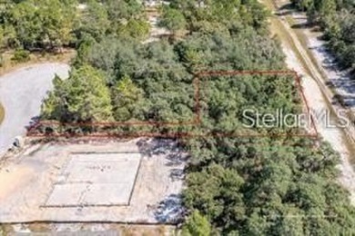 Lake Marion - Polk County Lot For Sale in Kissimmee Florida