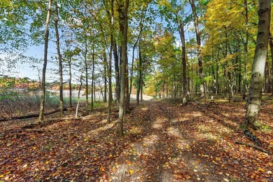 Professionally staked and secluded 175 acre retreat including 1 - photo 12