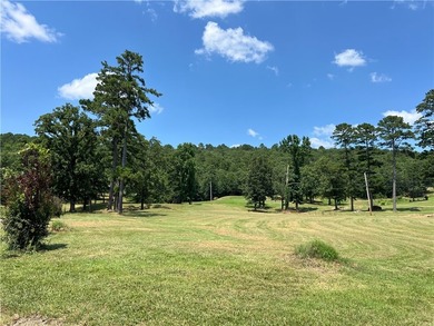 Build your dream home on this beautiful golf course lot - photo 3