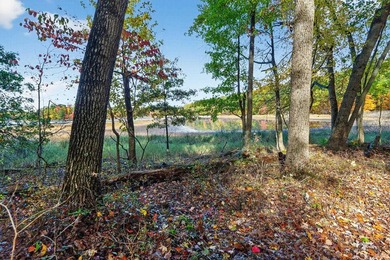Professionally staked and secluded 175 acre retreat including 1 - photo 13