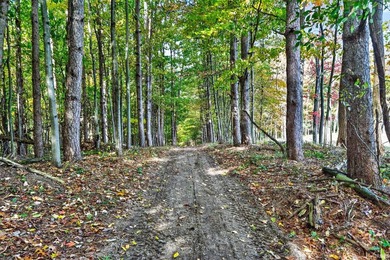 Professionally staked and secluded 175 acre retreat including 1 - photo 18