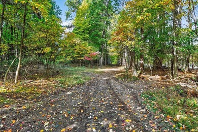 Professionally staked and secluded 175 acre retreat including 1 - photo 19